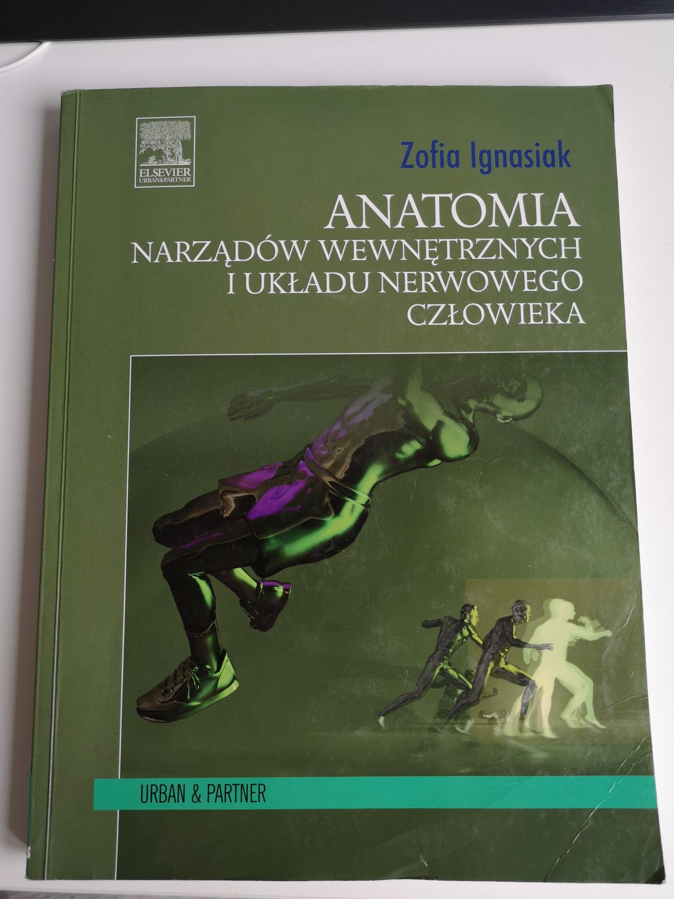 Anatomia narządów wewnętrznych i układu nerwowego człowieka