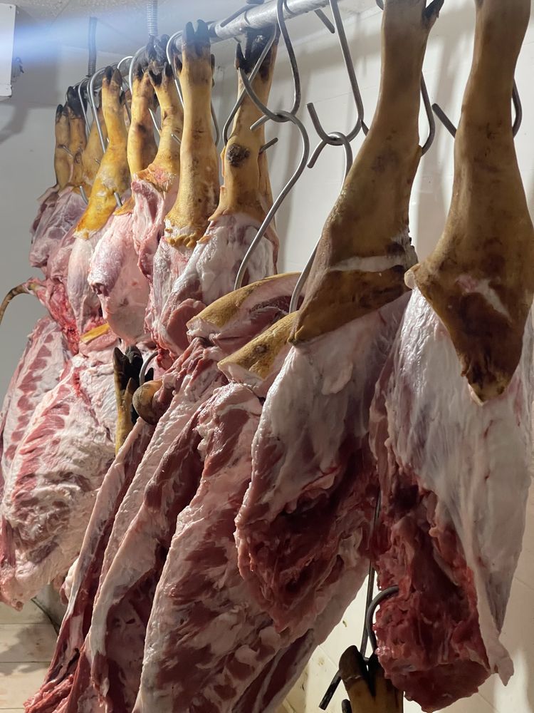 Продажа свинины, мясо тушами, мясо, сало, свежина.