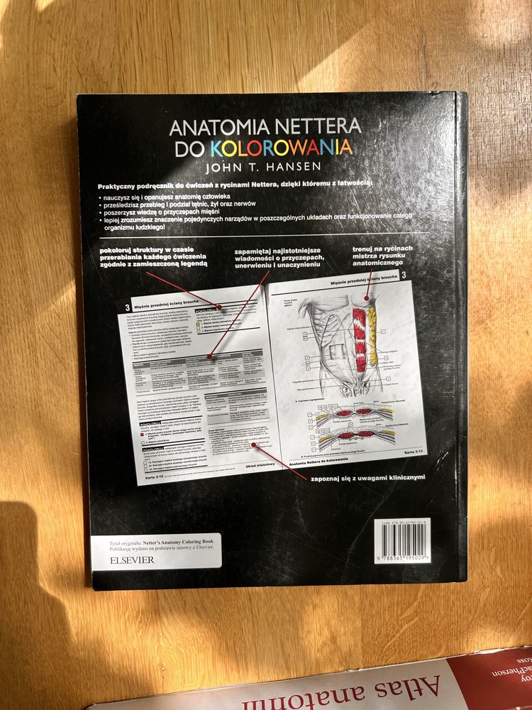 Atlas anatomii Gilroy, atlas do kolorowania Netter i fiszki