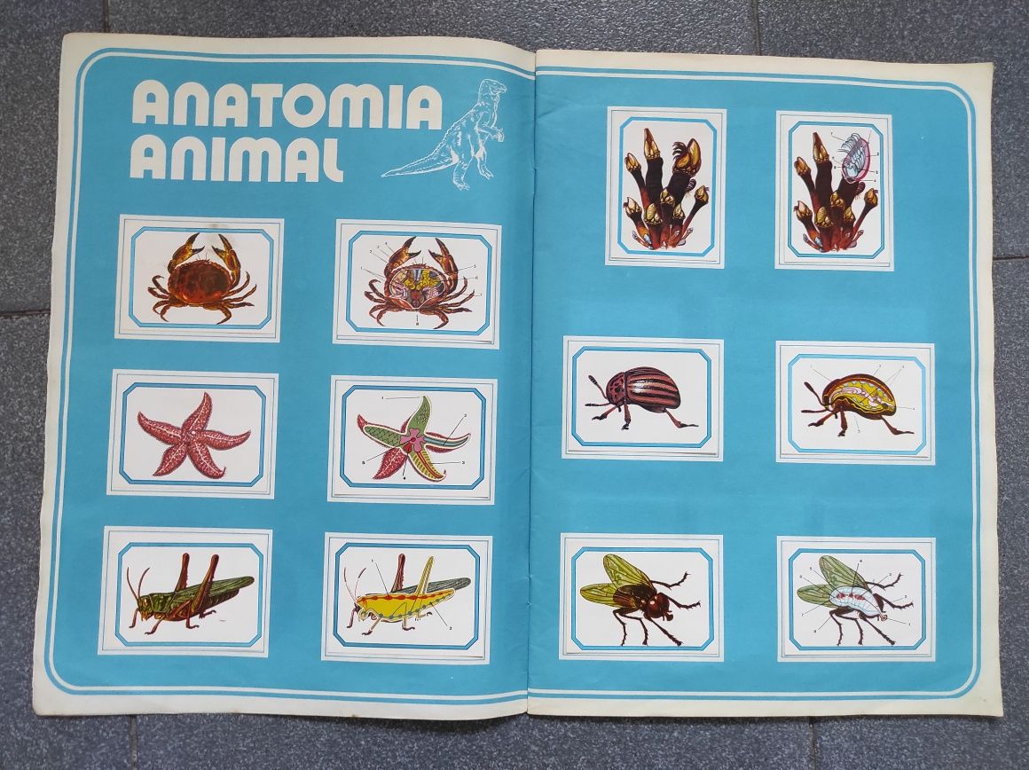 Caderneta de cromos Anatomia