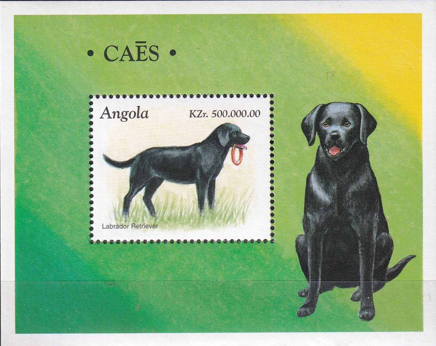 Angola 1998 cena 5,90 zł kat.5€ - psy