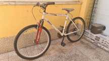 Bicileta de adulto