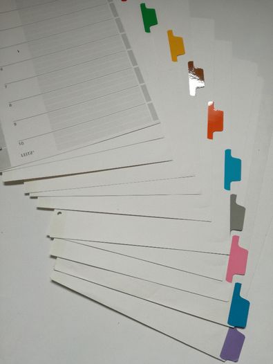 LEITZ organizer przekladki kartonowe do segregatora a4 10kart kolorów