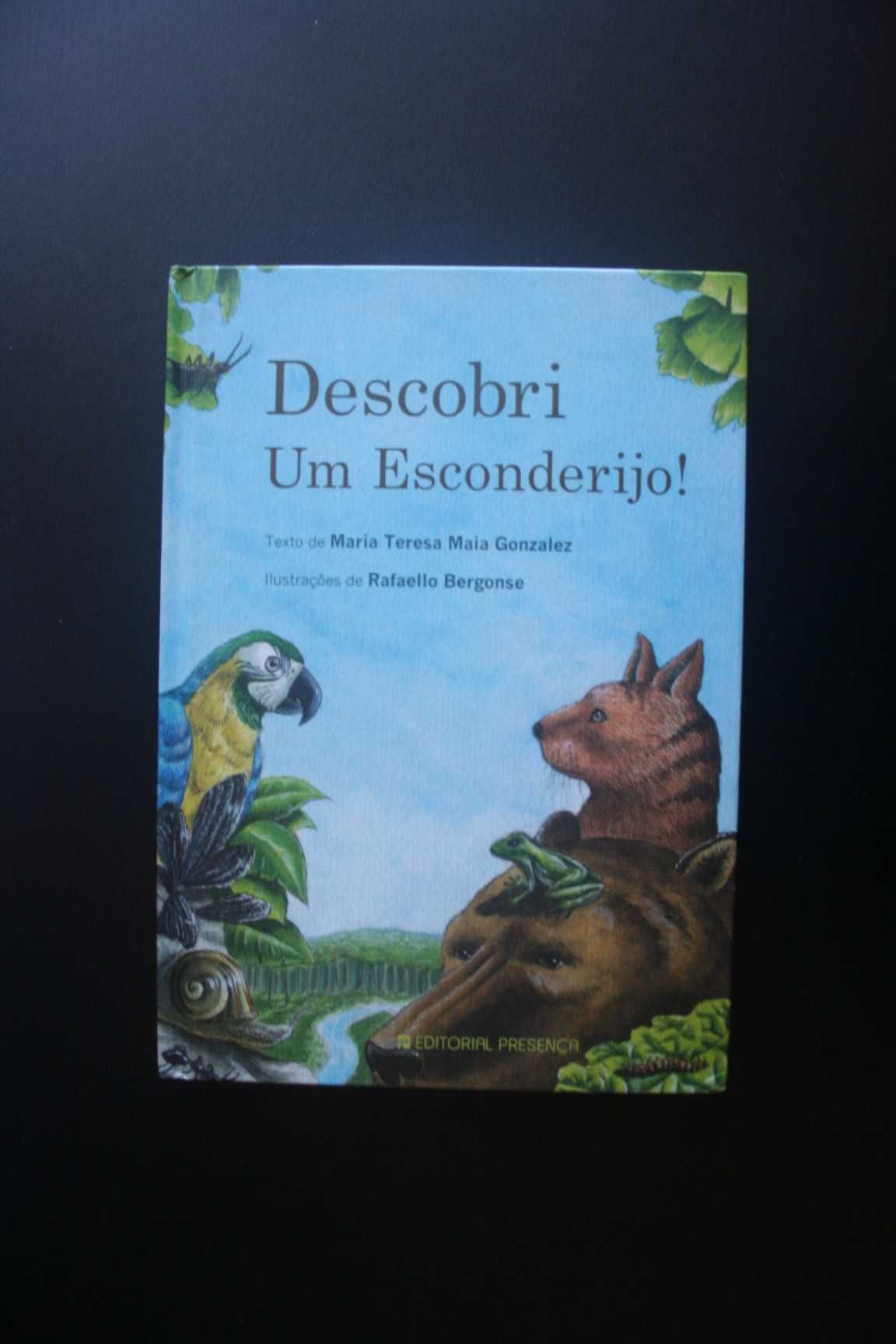 Descobri um esconderijo! - Maria Teresa Maia Gonzalez