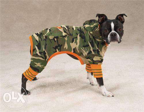 Ciepłe kurteczki ubranko dla psa york , chihuahua , mops #Warka