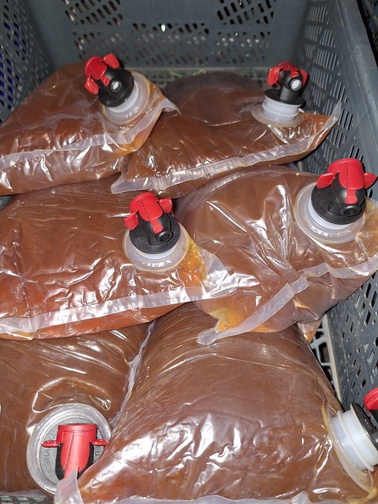 Sok z pigwowca japońskiego 4x 3l