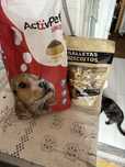 Comida e biscoitos de cão