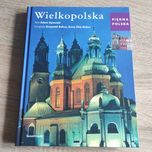 Wielkopolska nowa książka