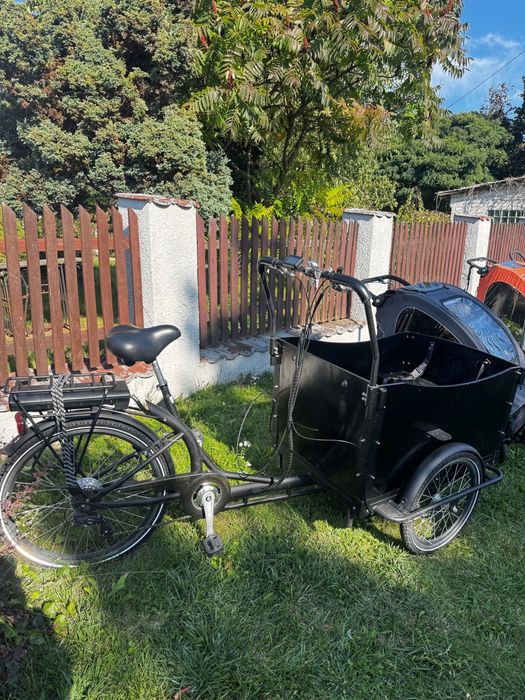 Rower elektryczny-riksza Przyczepka rowerowa