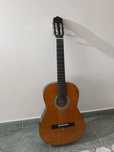 Guitarra Special edition classic