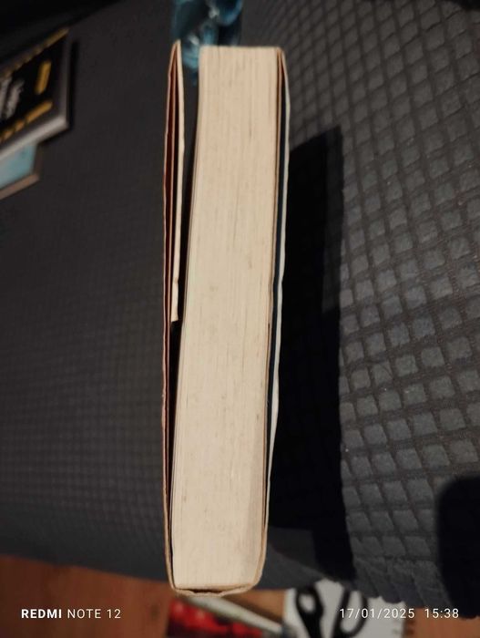 Qualquer Coisa de Bom - Sveva Casati Modignani