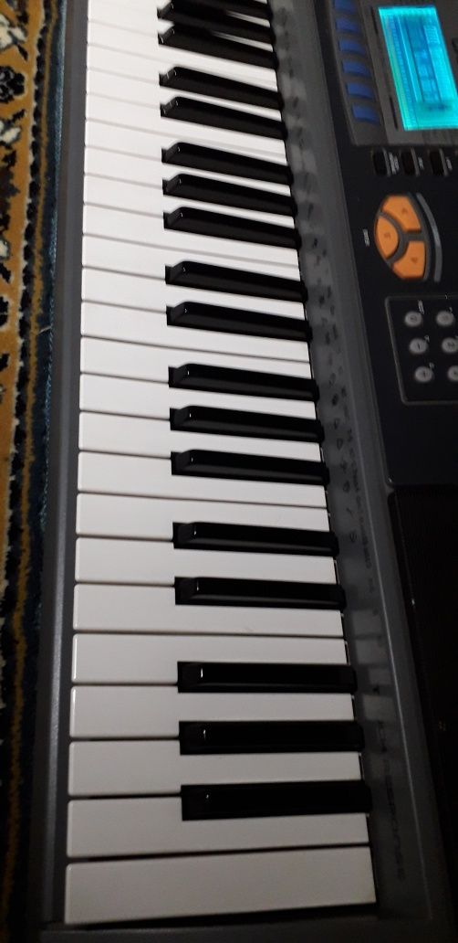 Orgão Casio WK-1200 elétrico