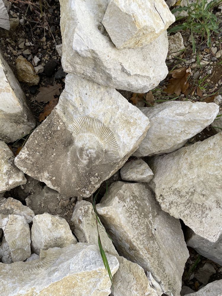 Kamień czysty gruby średni podbudowa na skalniak