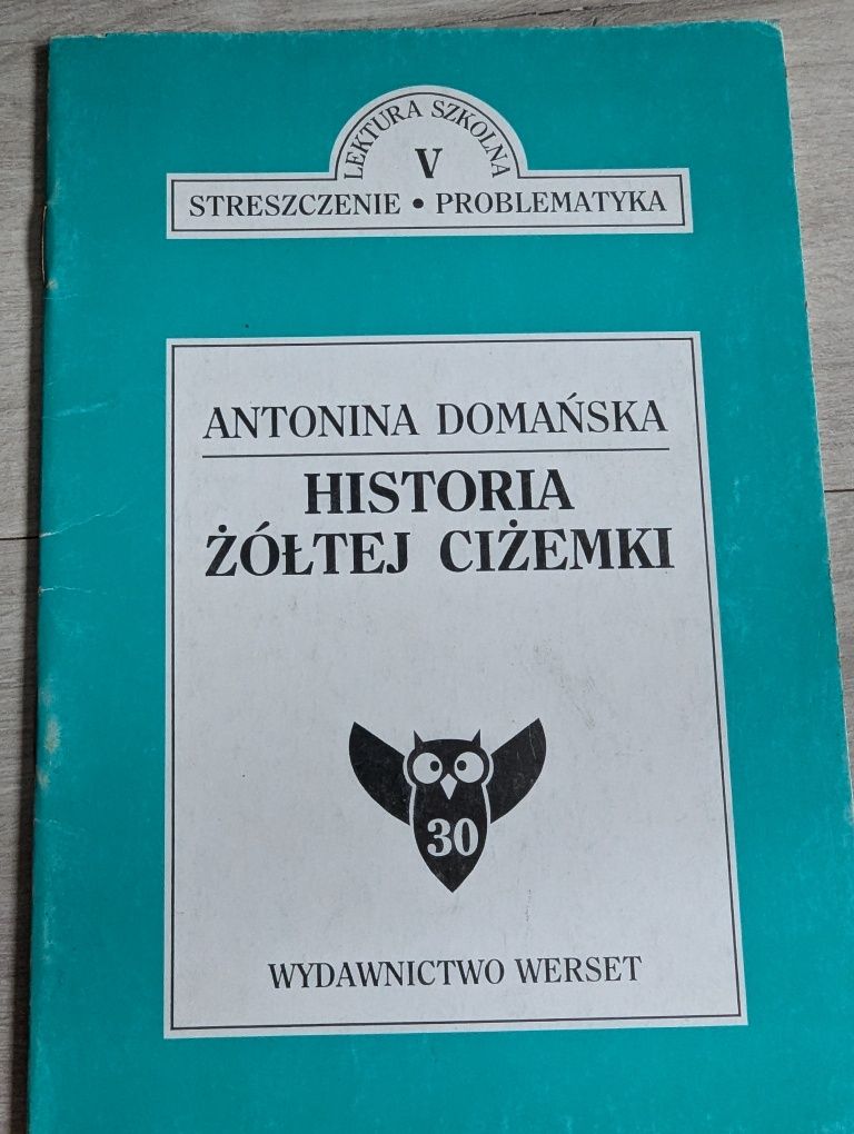 Lektura nr 30, streszczenie klasa 5, Historia zoltej cizemki