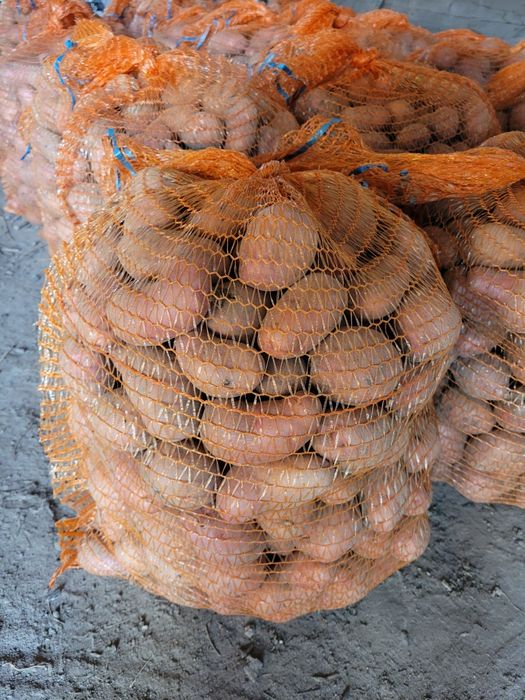 Sprzedam ziemniaki  20 kg oberon