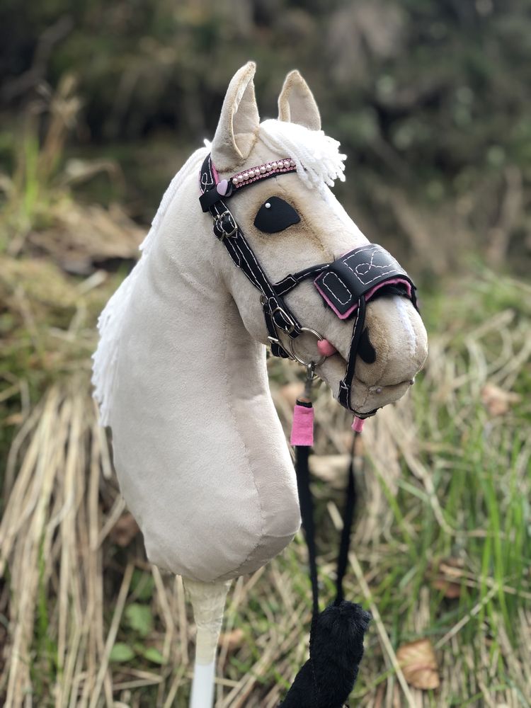 Hobby horse autorstwa kht igusi