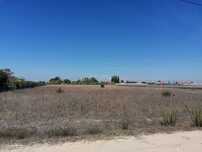 Excelente Terreno Rústico | Piso Regular, 5000 m2 - Herdade do Bilrete
