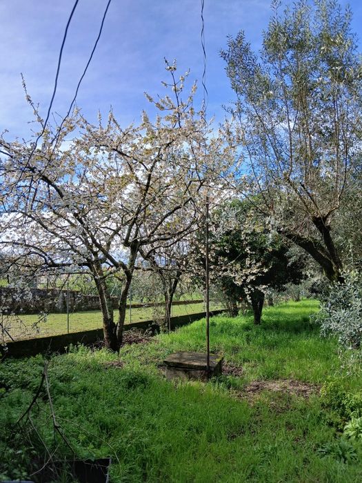 Casa rústica em pedra