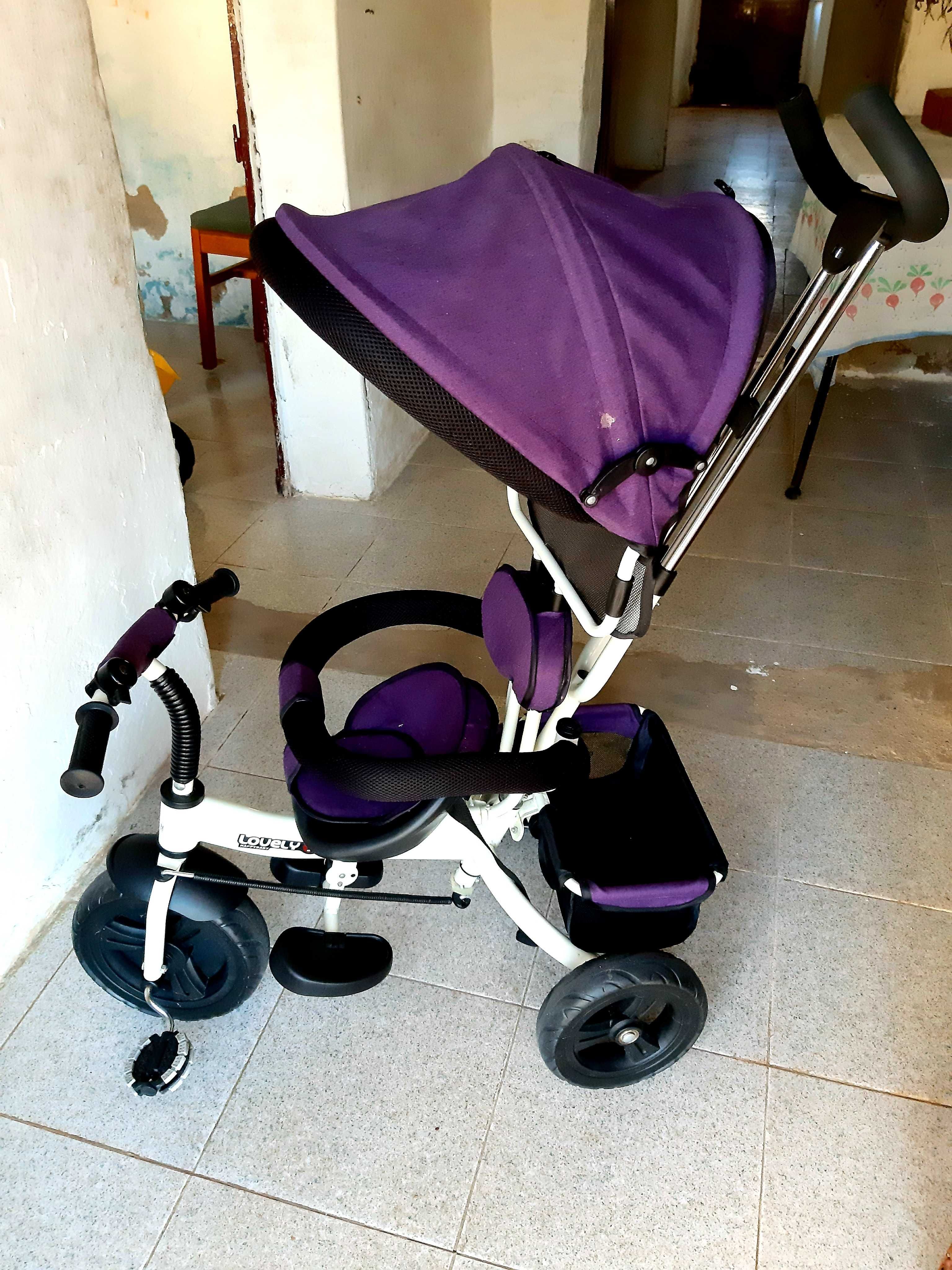 Vendo triciculo Roxo evolutivo bem estimado.