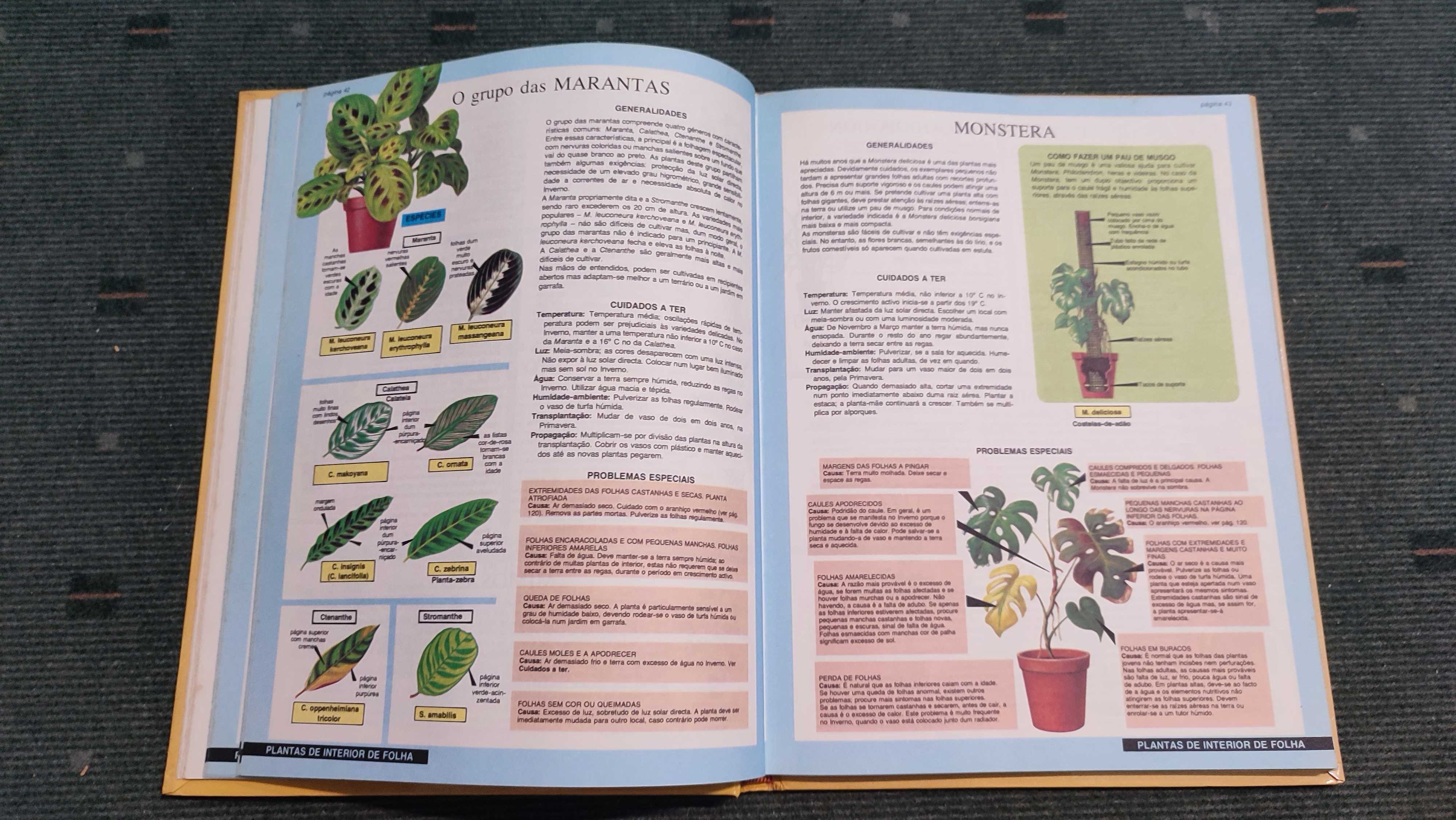 Plantas de Interior Manual de cultivo e conservação - D. G- Hessayon