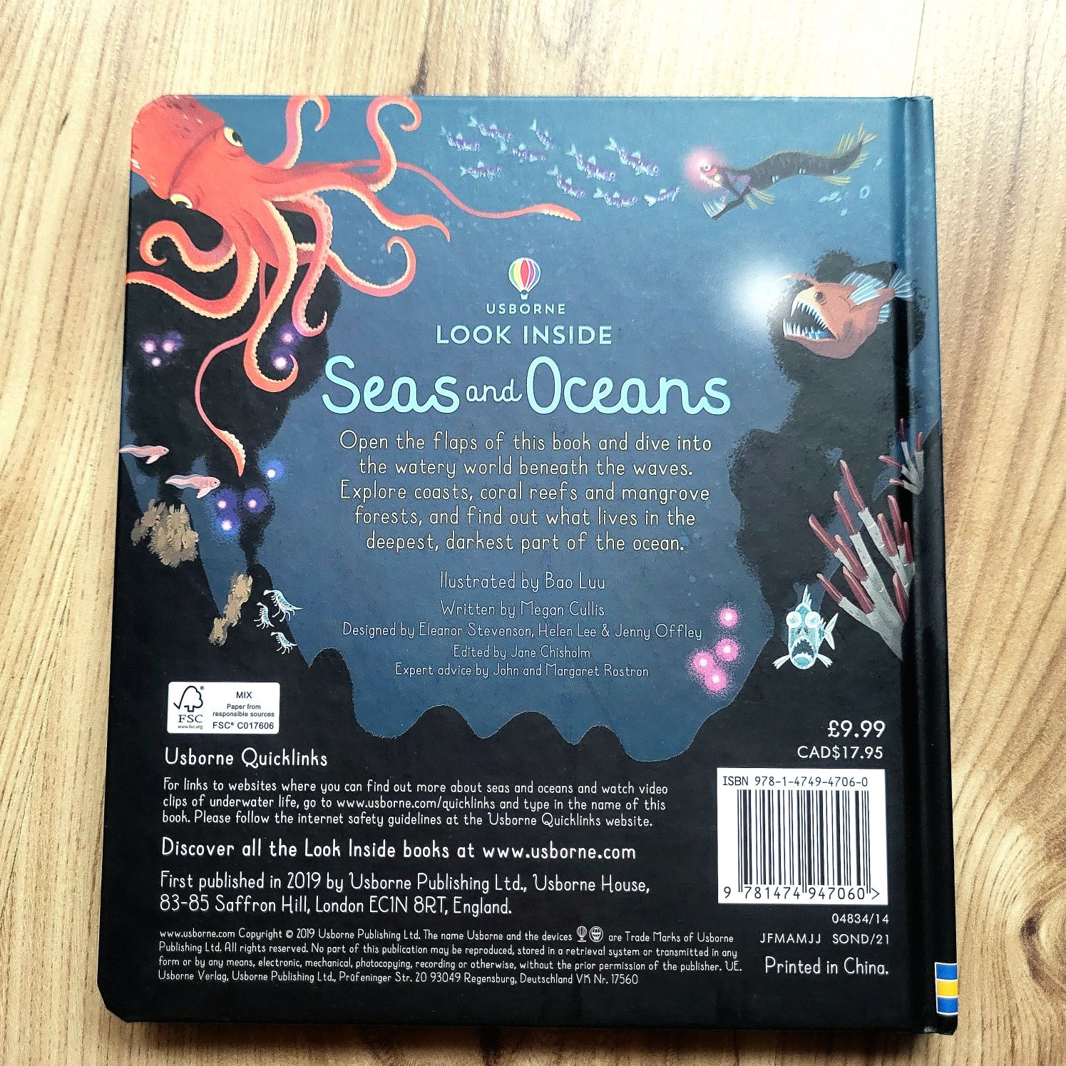 Seas and Oceans Usborne Look Inside z okienkami po angielsku