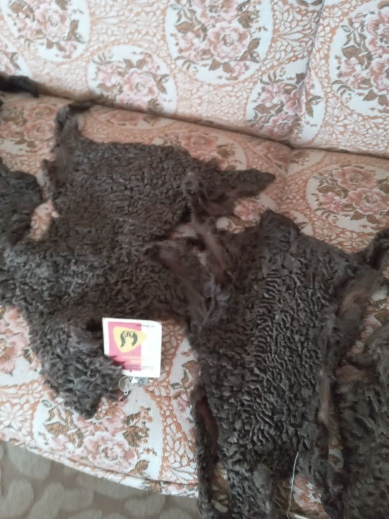 Продам новые шкурки каракуля фабричные.