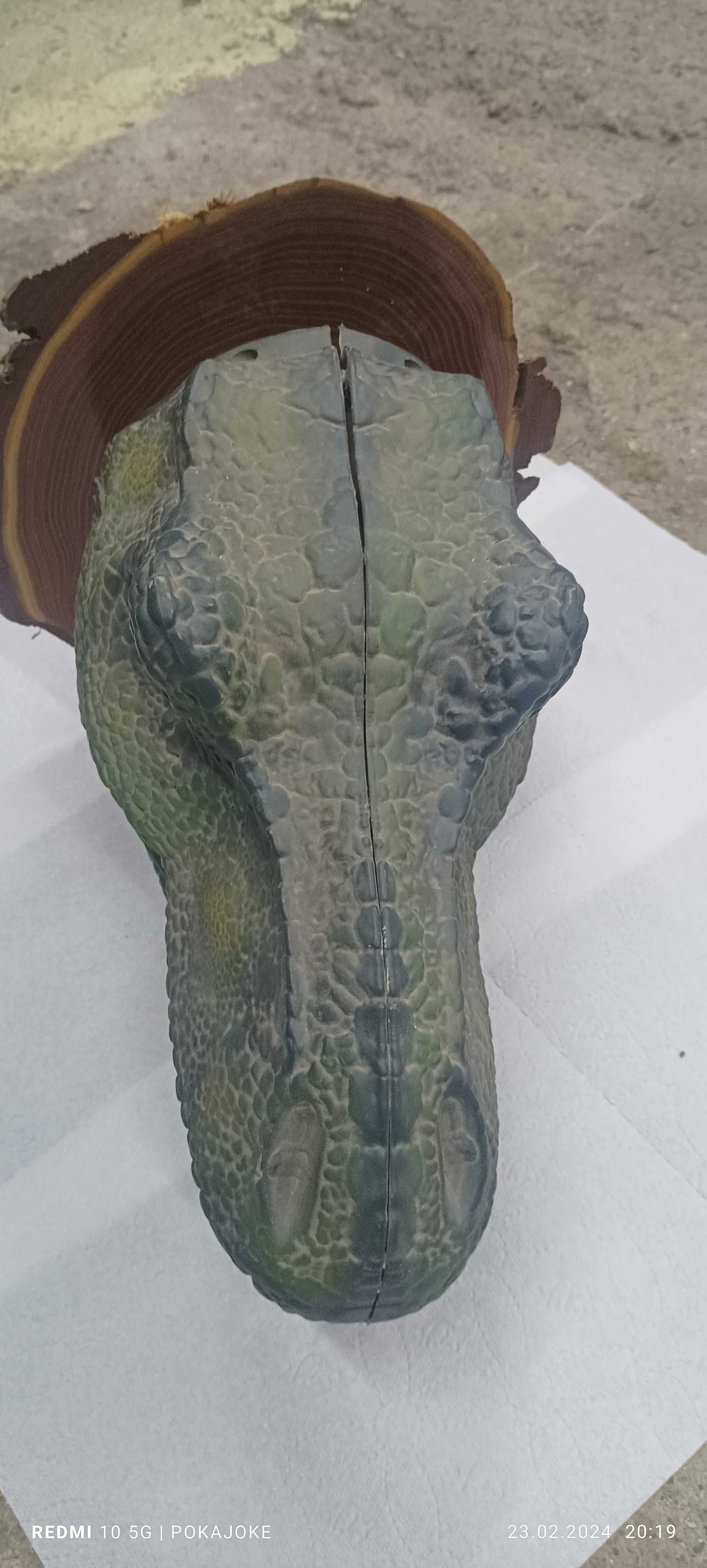 Dinozaur Rex głowa