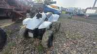 Quad 100cc 499zl