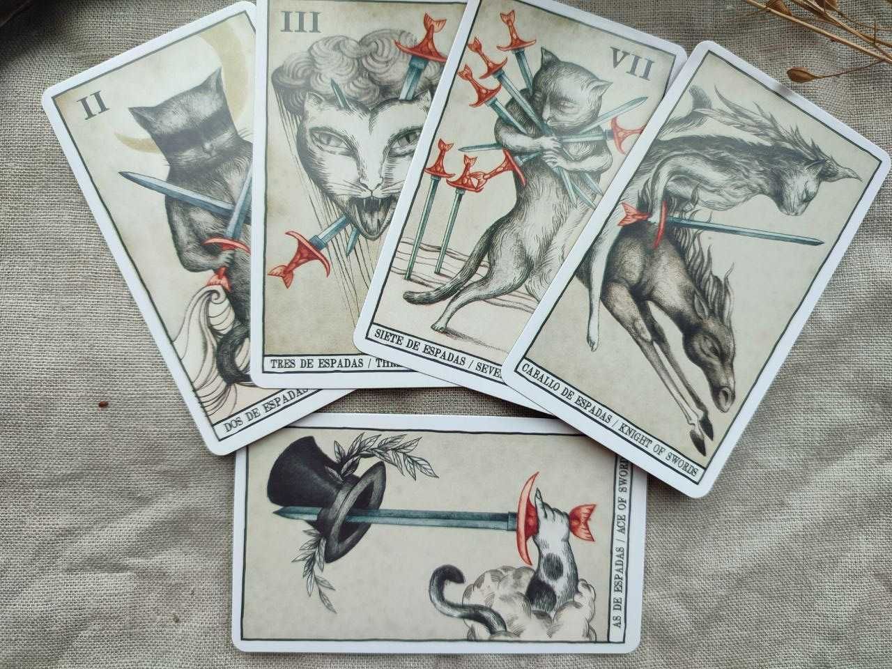 Гадальные карты таро кошек cats tarot таро с котиками котами ана жуан