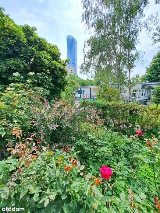 !-Centrum-3pok-Media Miejskie-Świeżo Po Remoncie-!