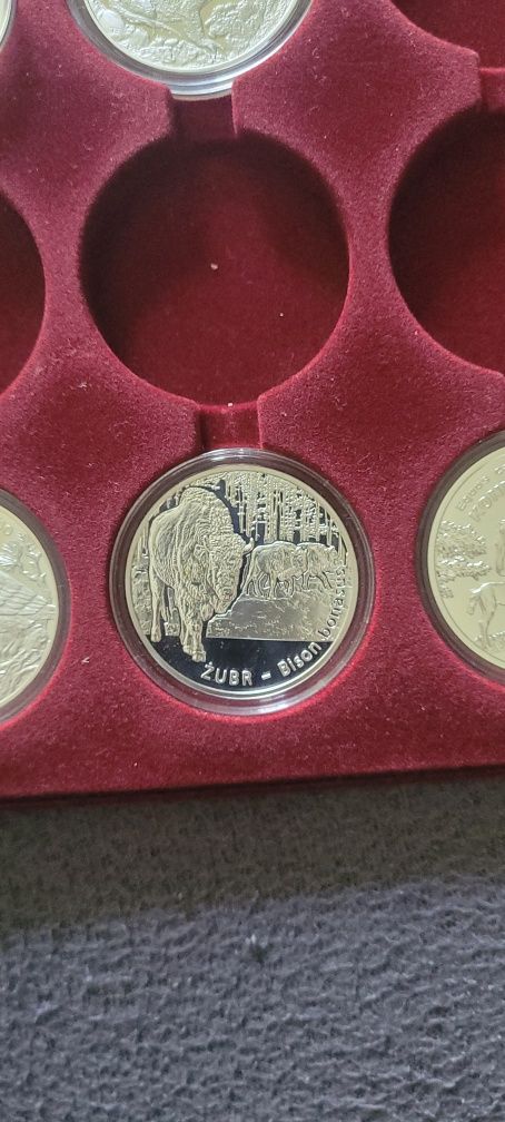 Srebrna moneta żubr 20 zł,