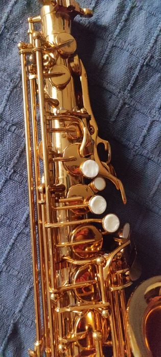 Sax alto Startone