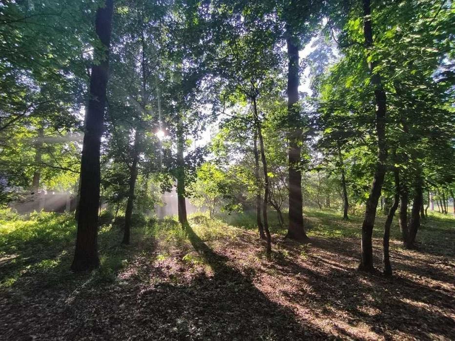Без посредников- от хозяина. Петрушки, дом 150 м2. 20 соток