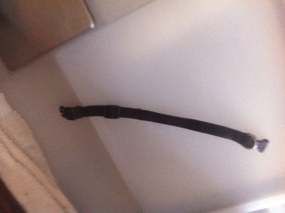 Coleira ajustável em preto