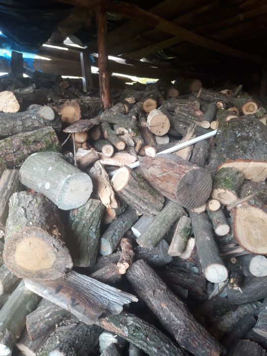 Drzewo opalowe Dąb,buk, grab. 250 zł za m²