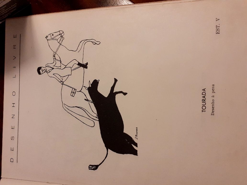 Livro antigo de Desenho  Livre de 1950 e livro de zoologia