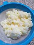 Kefir de leite (probiótico)