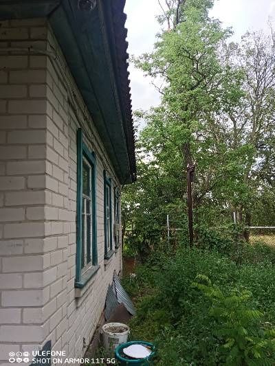 Будинок цегляний, два участки, 1 га землі