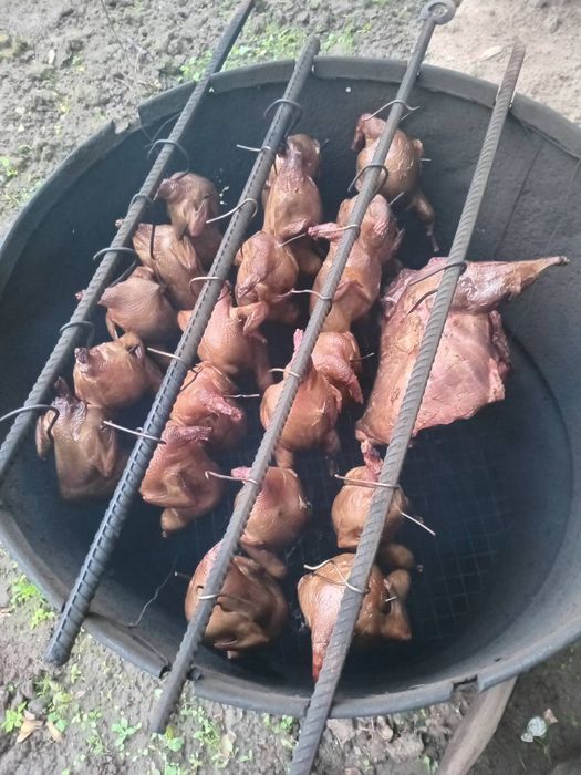 ПЕРЕПІЛКА мясо також тушками