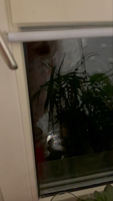 Світло без світла