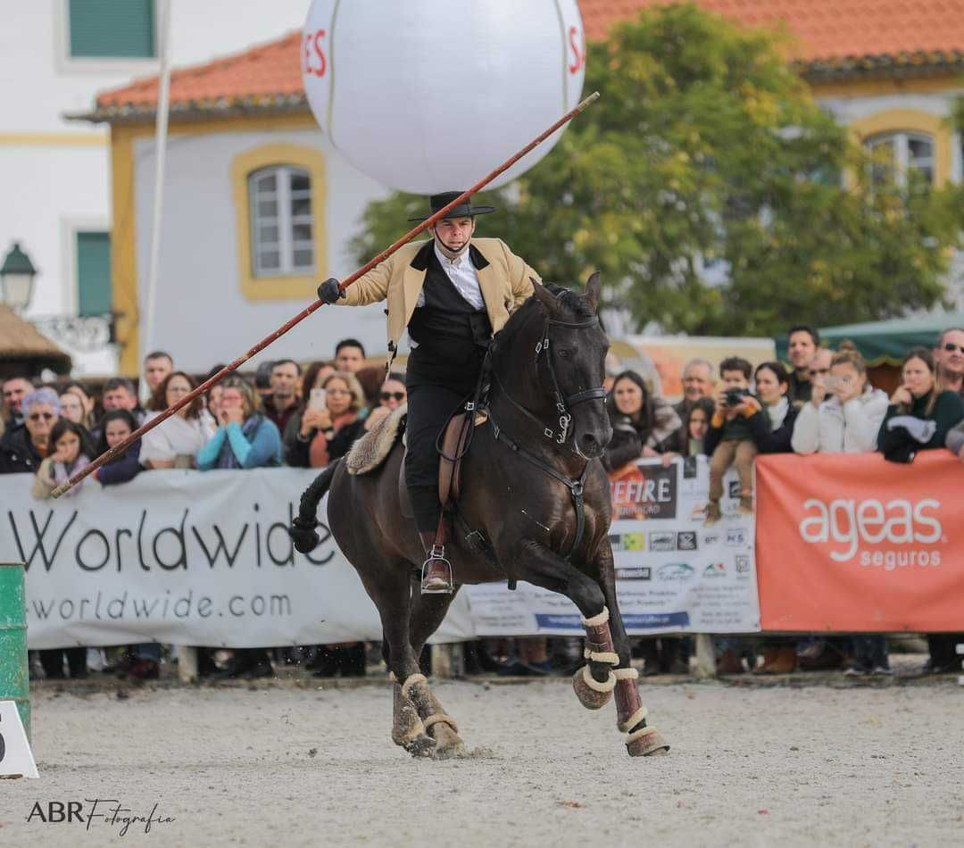 Trabalho e ensino de cavalos