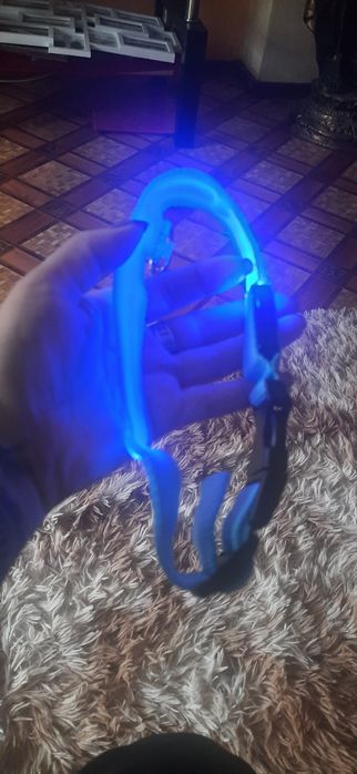 Ошийник з Led підсвіткою