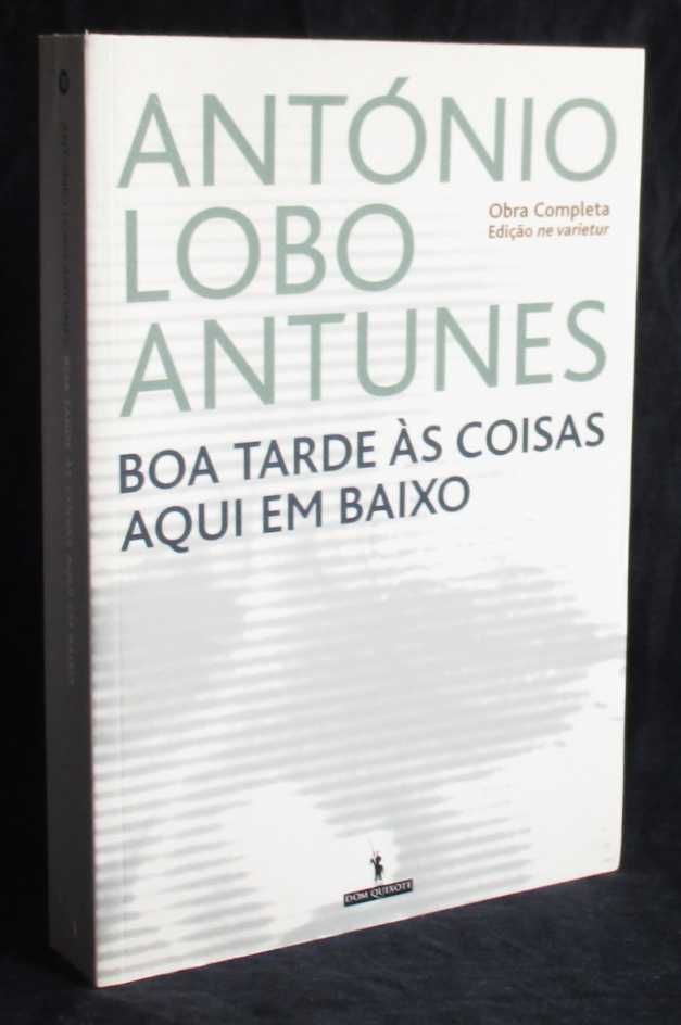 Livro Boa Tarde às Coisas Aqui em Baixo António Lobo Antunes