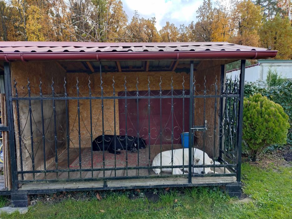 Вольєр для собак ( Самовивіз )