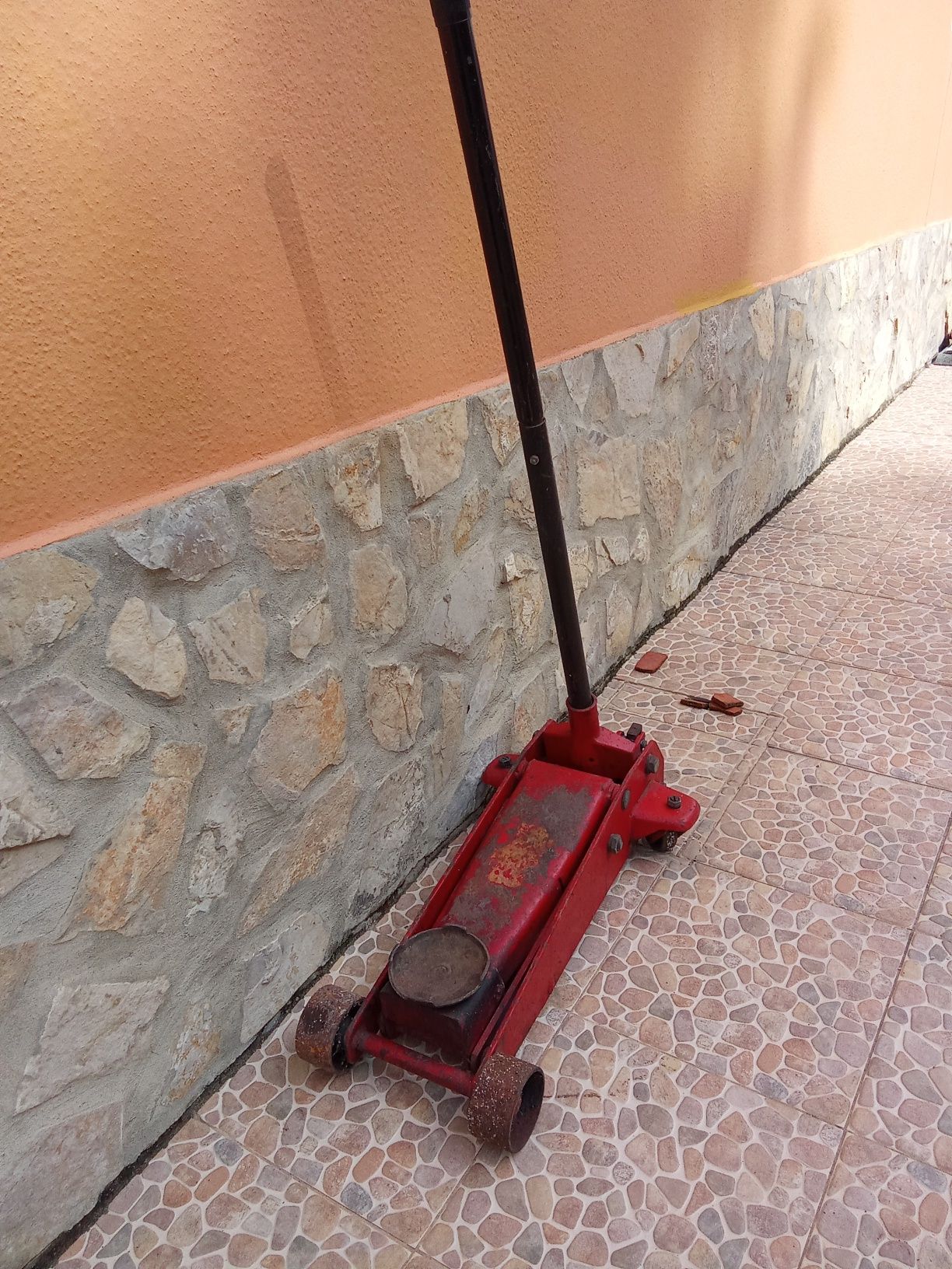 Vendo macaco grande e preguiças
