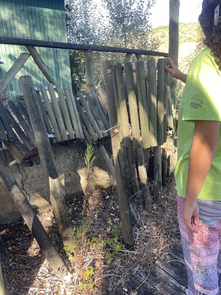 Caixote em madeira para por lixo, flores o que quiser
