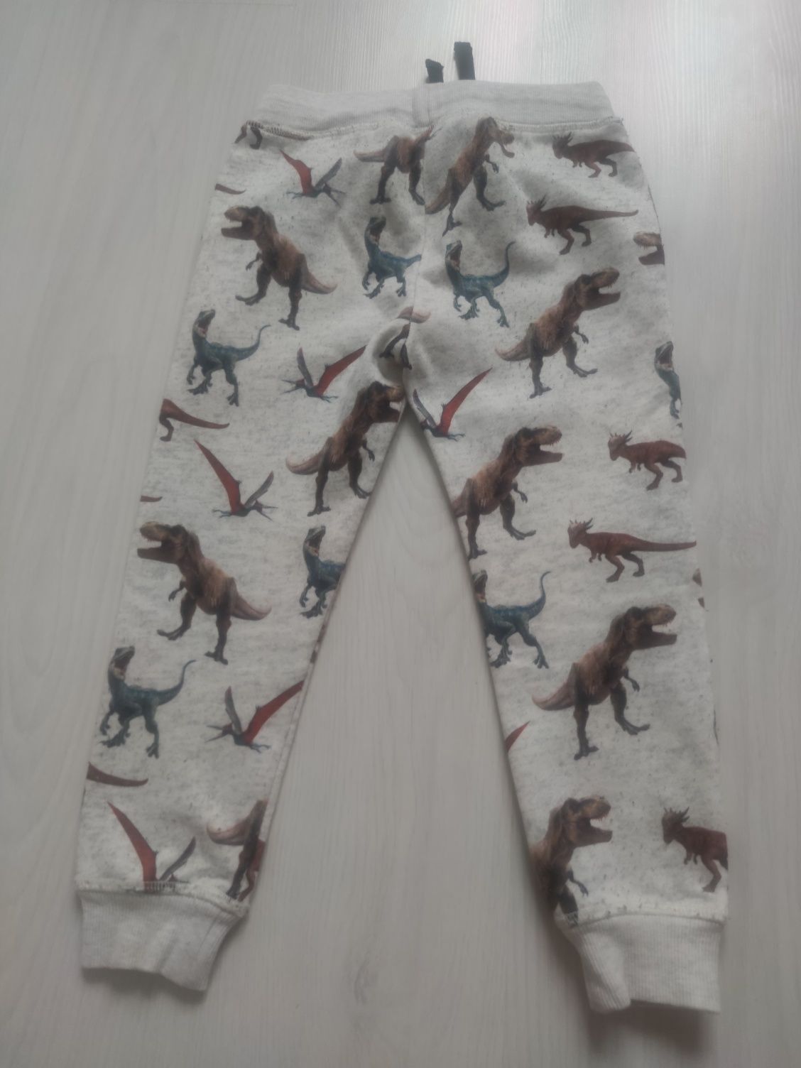 H&M Jurasic World spodnie dresowe w dinozaury 104