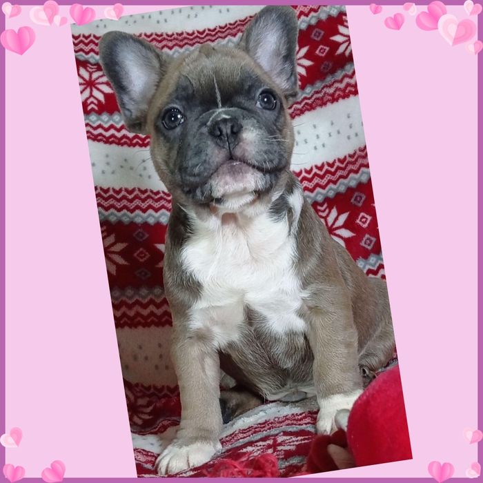 Чарівні бутузики