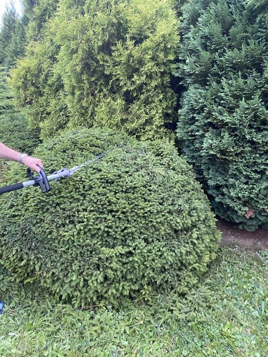 Zimowe porzadki, pielęgnacja ogrodu. Uslugi brukarskie