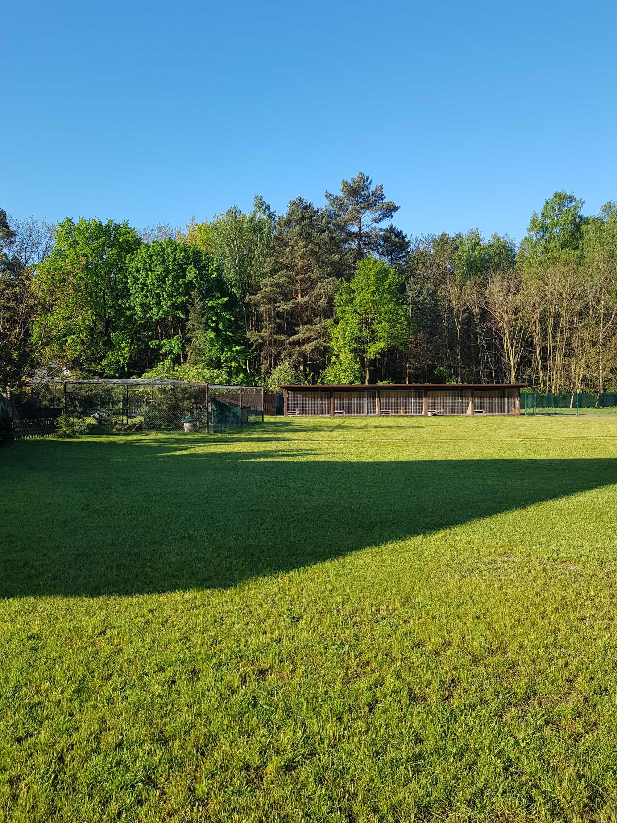 Hotel dla psów, kotów i zwierząt domowych